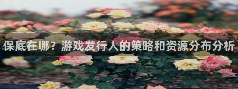 新宝GG红酒怎么样：保底在哪？游戏发行人的策略和资源分布分析