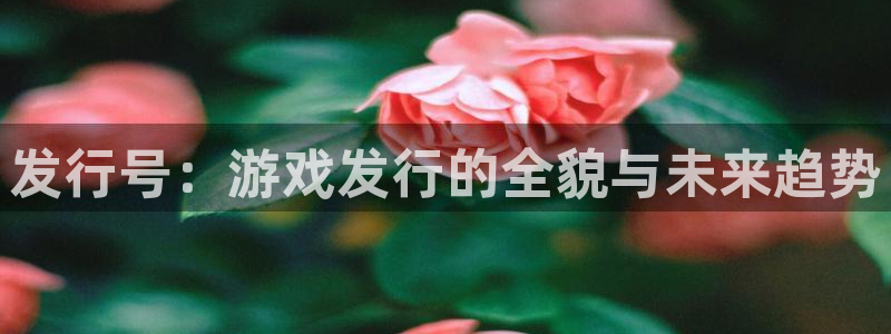 新宝GG官网注册平台官网：发行号：游戏发行的全貌与未来趋势