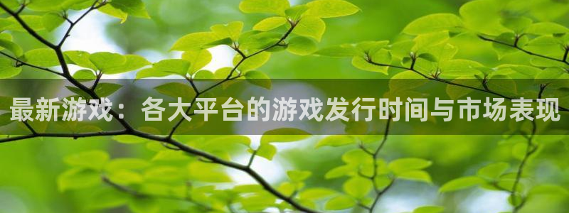 新宝GG电子商务有限公司电话：最新游戏：各大平台的游戏发行时间与市场表现