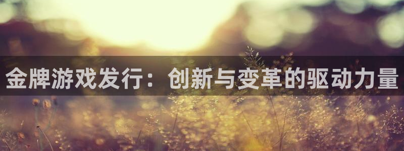 新宝GG子 到底怎么样：金牌游戏发行：创新与变革的驱动力量