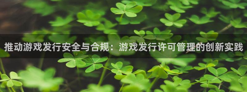 新宝GG官网游戏怎么注册：推动游戏发行安全与合规：游戏发行许可管理的创新实践