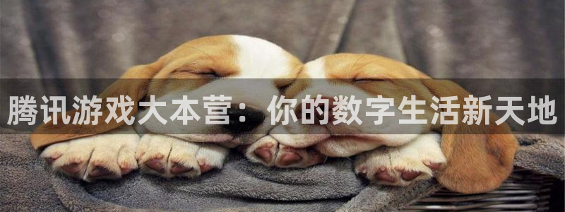 我想看新宝GG