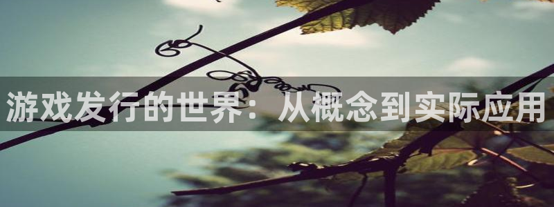 广州新宝GG网络科技有限公司