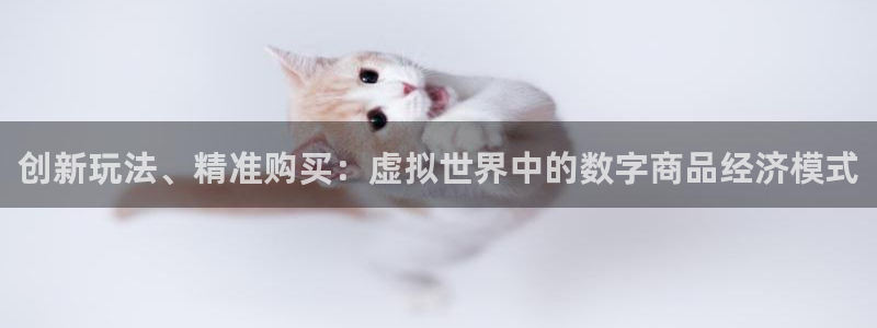 苏州新宝GG网络科技有限公司：创新玩法、精准购买：虚拟世界中的数字商品经济模式