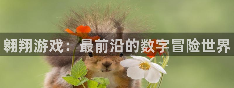 新宝GG官网的奇趣腾讯是真的吗：翱翔游戏：最前沿的数字冒险世界