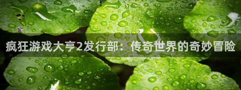 新宝GG官网注册登录不了：疯狂游戏大亨2发行部：传奇世界的奇妙冒险