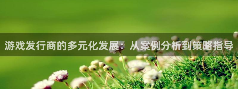 新宝GG官网平台合法吗：游戏发行商的多元化发展：从案例分析到策略指导