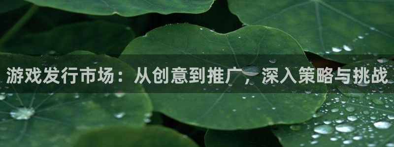 新宝GG子公司怎么样可靠吗