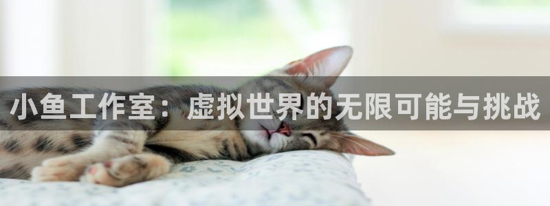 新宝GG官网游戏：小鱼工作室：虚拟世界的无限可能与挑战