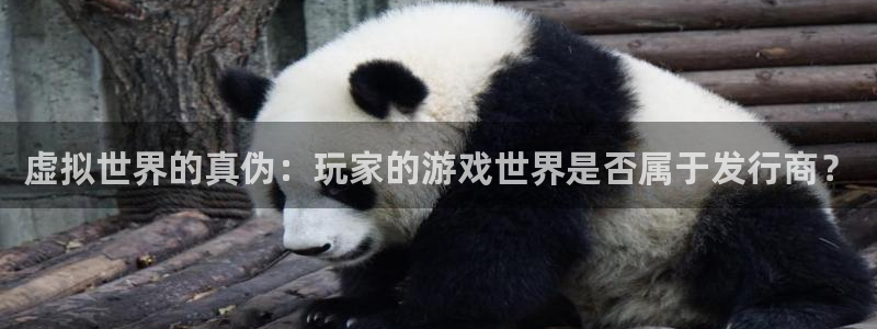 佛山新宝GG：虚拟世界的真伪：玩家的游戏世界是否属于发行商？