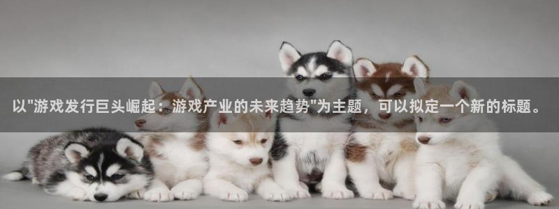 新宝GG好还是红狮好：以\