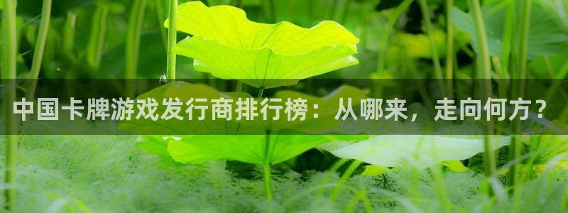新宝GG子教育科技有限公司：中国卡牌游戏发行商排行榜：从哪来，走向何方？