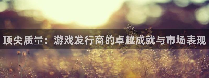 广州新宝GG网络科技有限公司：顶尖质量：游戏发行商的卓越成就与市场表现