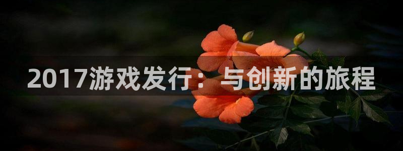 新宝GG官网注册方法是什么样的