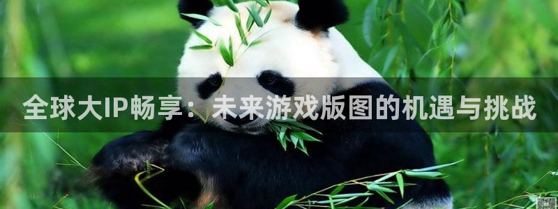 新宝GG服装分店有几家