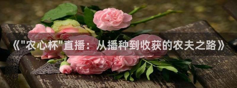 9255tv直播无插件nba：《\