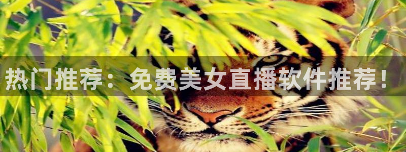 9255tv直播无插件nba：热门推荐：免费美女直播软件推荐！