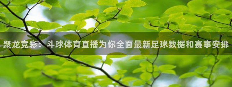 9255tv直播无插件nba：聚龙竞彩：斗球体育直播为你全面最新足球数据和赛事安排
