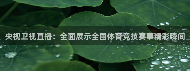 9255tv直播nba在线直播：央视卫视直播：全面展示全国体育竞技赛事精彩瞬间