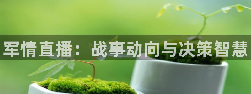 9255tv直播nba在线观看：军情直播：战事动向与决策智慧