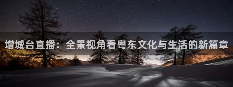 9255tv直播无插件nba：增城台直播：全景视角看粤东文化与生活的新篇章