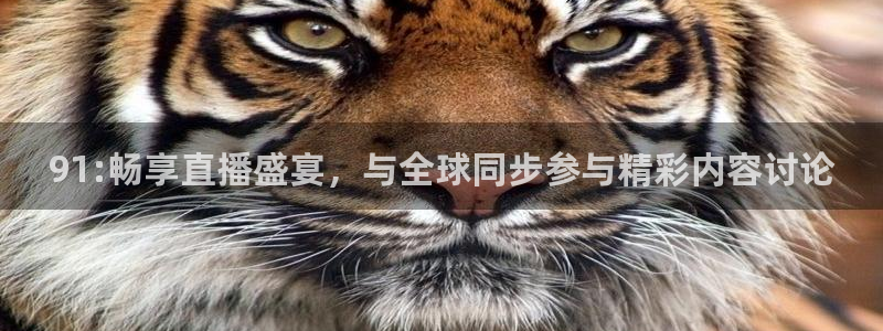 9255tv直播nba在线直播：91:畅享直播盛宴，与全球同步参与精彩内容讨论