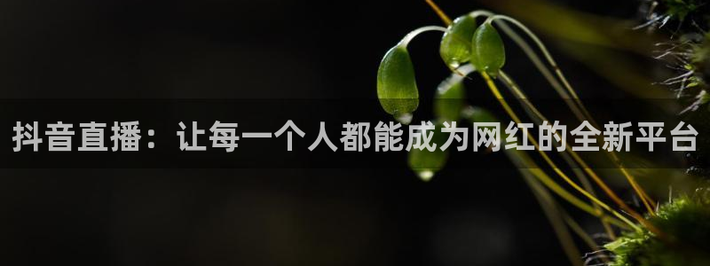 9255tv直播nba在线观看