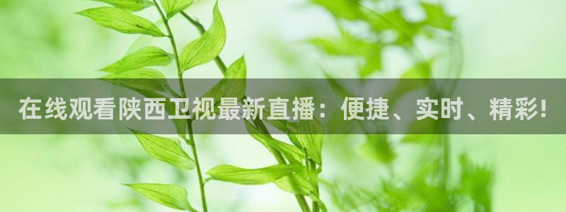 9255tv直播nba在线直播