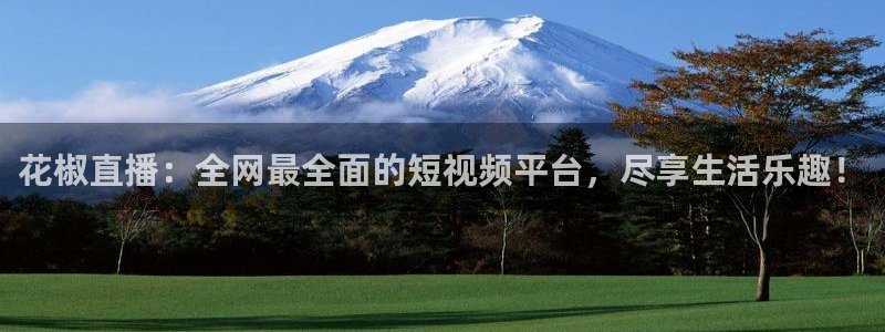 9255tv直播无插件nba