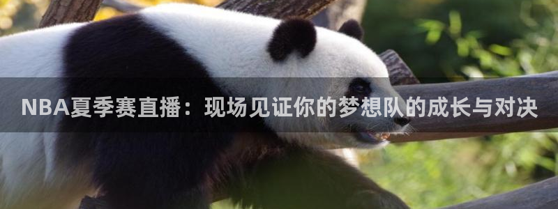 9255tv直播nba在线观看：NBA夏季赛直播：现场见证你的梦想队的成长与对决